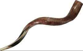 shofar-2